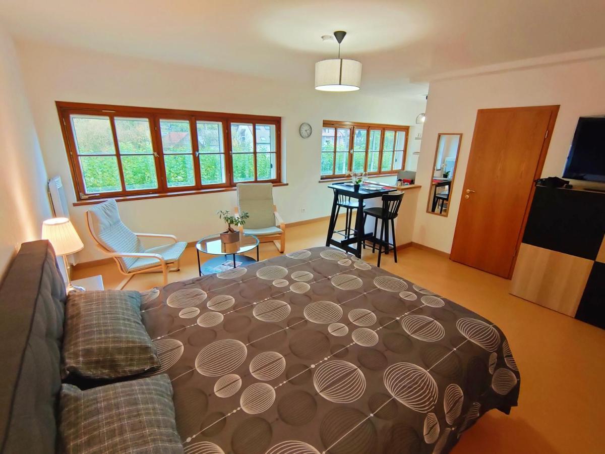 Lumineux Appartement Free Parking Nature Ville Tt Equipe ตานน์ ภายนอก รูปภาพ